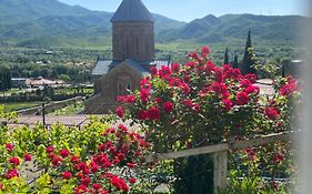Garden And Panorama